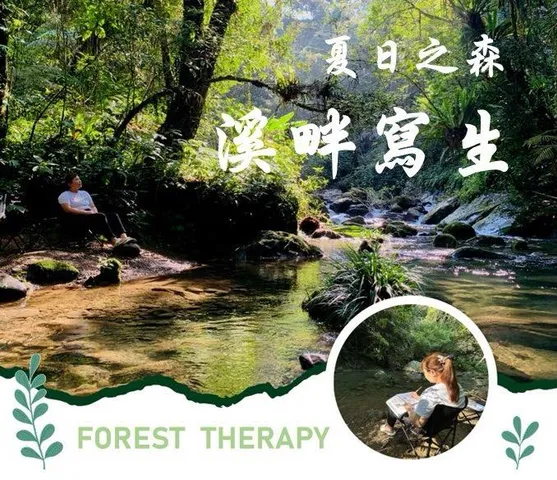 夏日之森溪畔寫生招募｜夏天的森林療癒，是水的療癒（第 1 張，共 2 張）