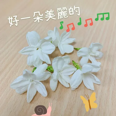 好一朵美麗的茉莉花｜窗台上的季節回禮（第 1 張，共 1 張）