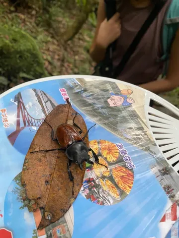 七星山的迷霧｜看不清方向，自己還在世界的中心（第 2 張，共 2 張）