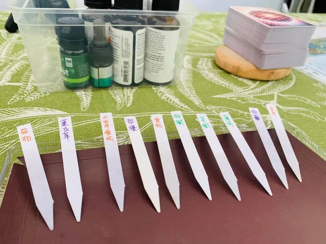 森林療癒社擺攤｜在工研院享受幾秒鐘的療癒（第 2 張，共 4 張）