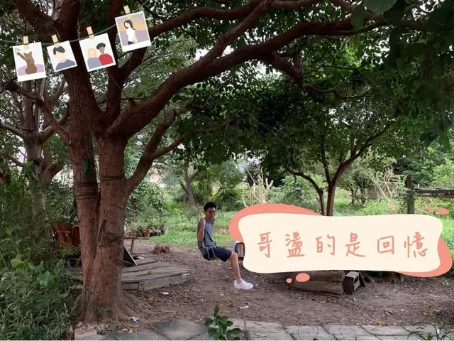 前人種樹，後人乘涼｜農場茄苳樹與孩子們的竹屋回憶（第 2 張，共 3 張）