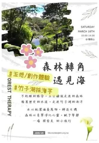 陽明山半日森療小旅行招募｜探索春天、森林與海芋（第 2 張，共 3 張）