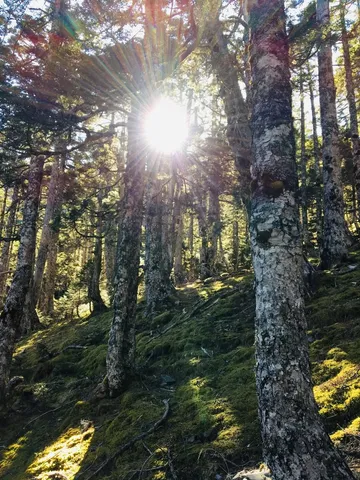 五訪雪山｜在不同的人生階段拜訪同一座山（第 3 張，共 9 張）