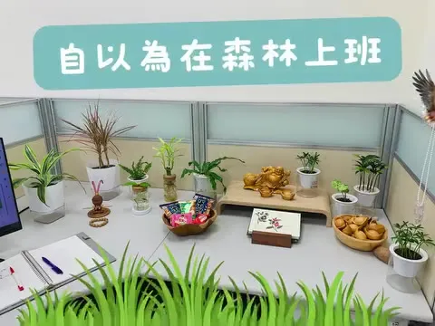 自以為在森林上班｜辦公桌的能量場（第 3 張，共 3 張）