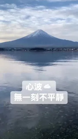 河口湖小鴨游｜水波無一刻平靜，心波無一刻不平靜（第 3 張，共 3 張）