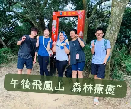 午後飛鳳山森林療癒｜把玩苔球，覺察耐心與平常心（第 3 張，共 3 張）