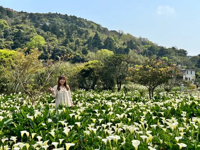 3 月森療活動「森林轉角遇見海芋」｜沿水管路走進竹子湖（第 4 張，共 4 張）
