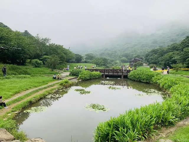 台北大縱走第一段｜關渡到二子坪的夏日森林療癒（第 5 張，共 5 張）