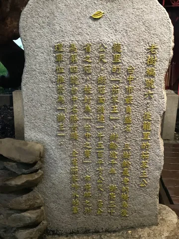 探尋台中老樹｜車水馬龍旁的巨木與菩薩寺（第 5 張，共 5 張）