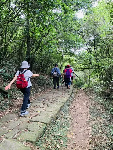 陽明山家庭照顧者森療公益｜我們想陪著妳們的，不只是走在自然裡（第 8 張，共 15 張）