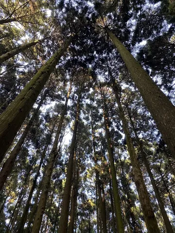 哈加縱走｜加里山，有畫面、有溫度的地方（第 8 張，共 9 張）